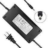 YZPOWER 42V 5A Battery Charger for Electric Bike Electric Scooter 36V Lithium Battery Pack 5.5mm...