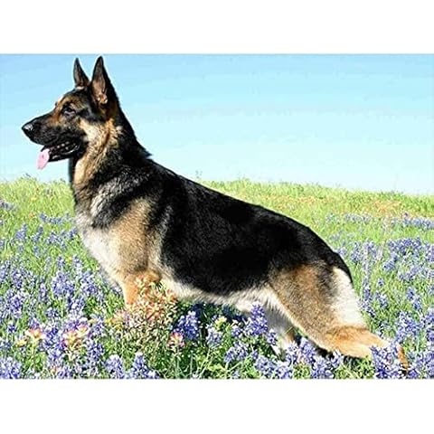 CRGANGZY 5D Diamond Painting German Shepherd Full Round Drill Mosaic Art Home Decorations Cover
