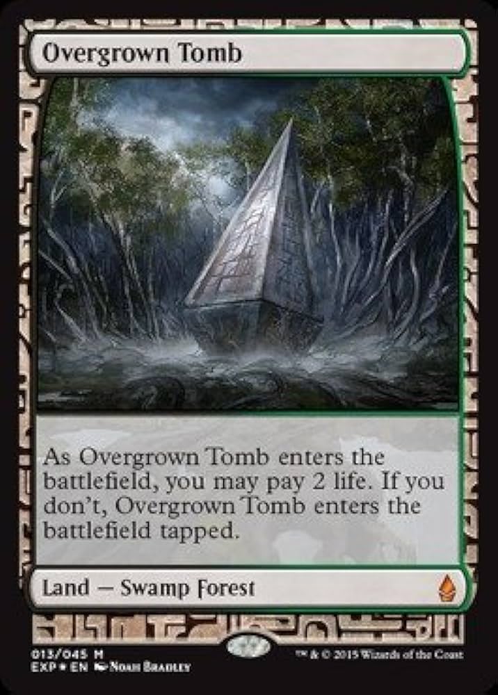 Overgrown Tomb 草むした墓 FOIL 013/045 MTG Overgrown Tomb 草むした墓 FOIL 013/045 MTG Amazon.com: Magic The