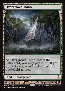Overgrown Tomb 草むした墓 FOIL 013/045 MTG Amazon.com: Magic The Gathering - Overgrown Tomb (013/045