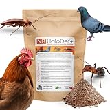 NB Minerals