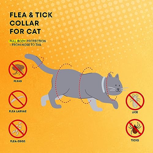 Proelobara PECFC-003 Cat Flea Tick Prevention Collar: Nature Flea Collar thumb #2