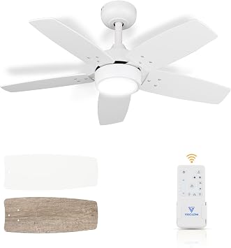 Ceiling Fan 36 for Small Room Matte White Modern Fans with Light Remote Control - Reversible Quiet DC Motor Dimmable with 6 Speeds for Dorm Room Bedroom Indoor Outdoor Use