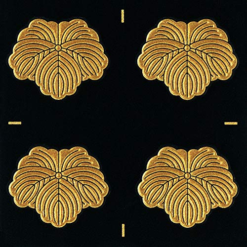 Ɩ GV[ ƖXebJ[ u/GD 24mmv  4t