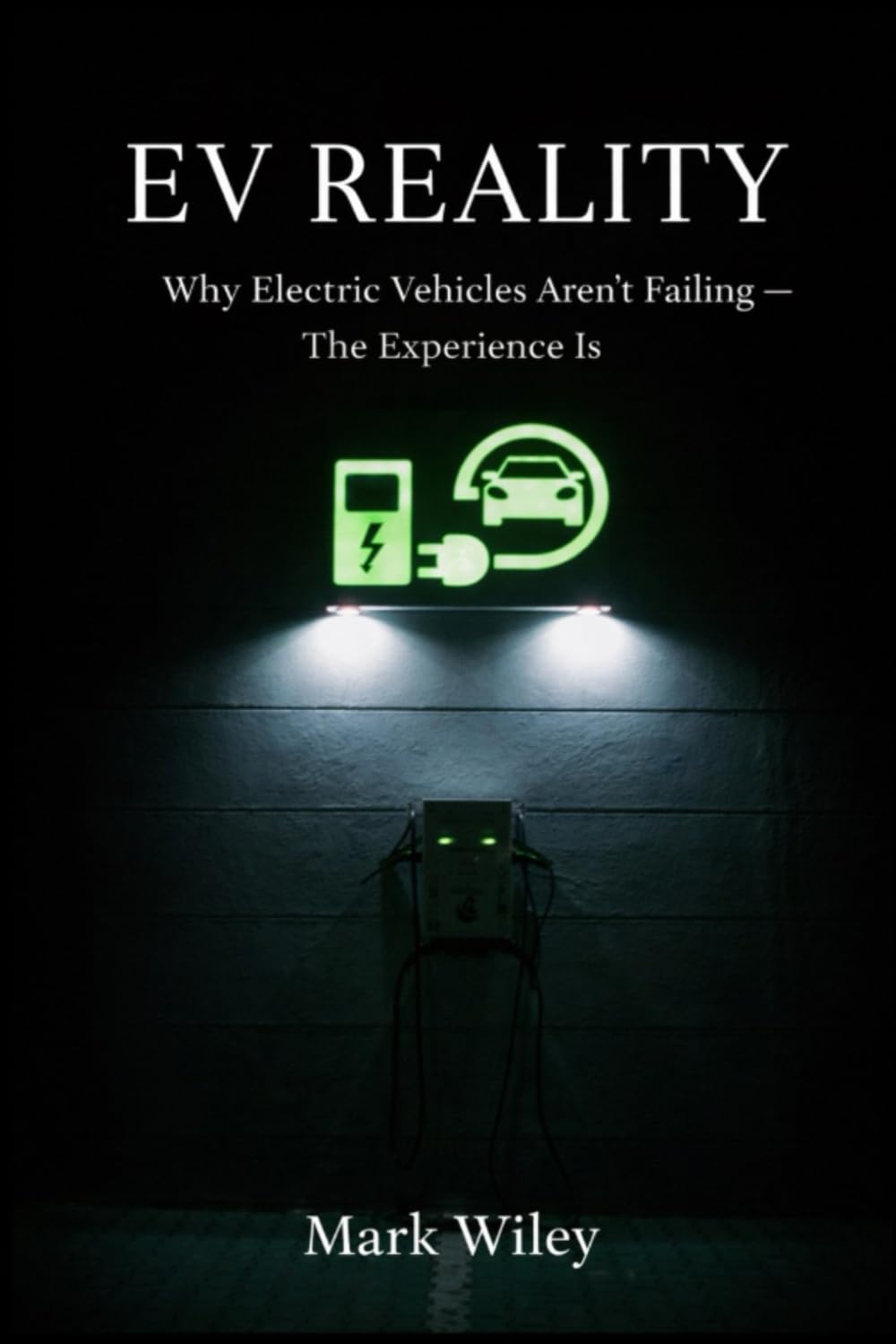 EV Reality: Why Electric Vehicles Aren't Failing - The Experience Is