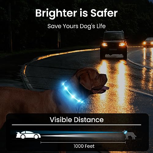 MASBRILL Hundehalsband Leuchtend Aufladbar, Hund 7 RGB Farbwechsel mit 8 Leuchtmodi, Verstellbare LED HundeHalsband Wasserdicht für Kleine Mittlere Große Hunde Leuchtendes Halsband, Schwarz M