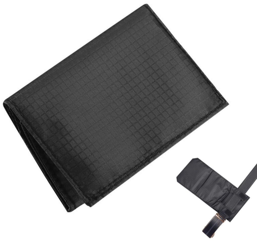 Brionly Hidden Reise Taschen Organizer Tasche Für Passport, Kreditkarten, Smartphone, Münzen, Geld (Schwarz)