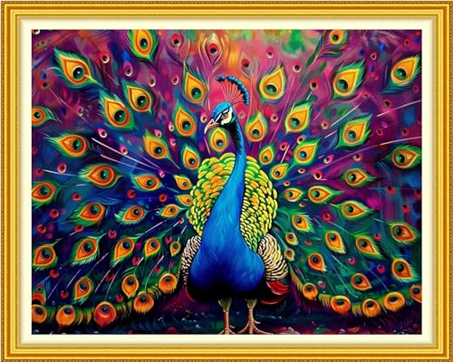 Image of Funchey Stamped Cross Stitch Kits, DIY Cross Stitch Pattern for Adults Beginners Needlepoint Kits Embroidery Kit Arts and Crafts 11CT-Colorful Peacock 16x20 inch