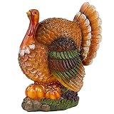 winemana Thanksgiving Table Decorations Resin Turkey with Pumpkin, Hand-Painted Fall Figurine Centerpiece for Home Kitchen Office Harvest Day Decor