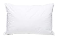 Extra Soft Down Pillow - Great for Stomach Sleepers Pillow - Very Flat - Bed Pillow - White Duck Down - Queen Size