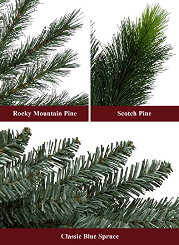 Balsam Hill Artificial Christmas Tree Branch Sample Kit - Includes Full Branches Of 19 Balsam Hill Artificial Christmas Trees thumb #4