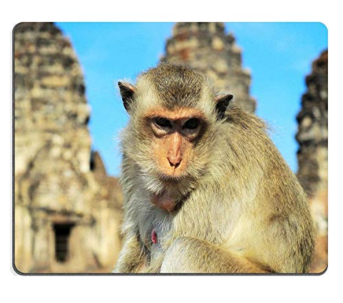 Tony Natural Rubber Mousepad Closeup Portrait of a Monkey in Front of Prang