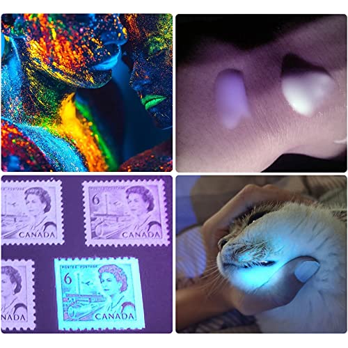 DARKBEAM UV Light Torch Ultraviolet Flashlight Rechargeable 365nm - Image 4