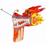 DSJUGGLING 3D Dragon Head Accessories, Lightweight Real-like Hollow Plastic Dragon Head with Swing Rope for Dragon Poi Dragon Dance Ribbon Streamer optional equipment (Red, Small)