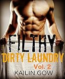 FILTHY DIRTY LAUNDRY (A Stepbrother Romance) Vol. 2