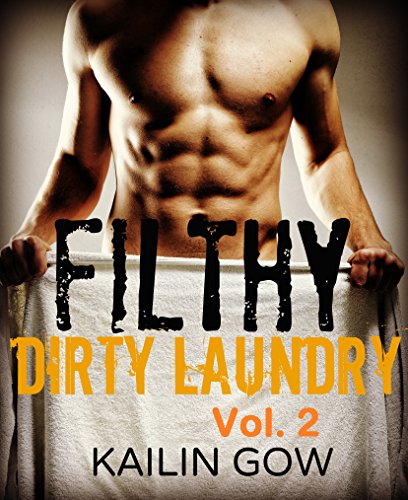 FILTHY DIRTY LAUNDRY (A Stepbrother Romance) Vol. 2