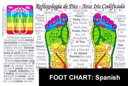 REFLEXOLOGIA de PIES Massage-Arco Iris Codificata Tabla (FOOT Reflexology Massage CHART-SPANISH Edition) in the Inner Light Resources RAINBOW® Charts ... 2-sided Laminated (Small Poster/ Large Card)