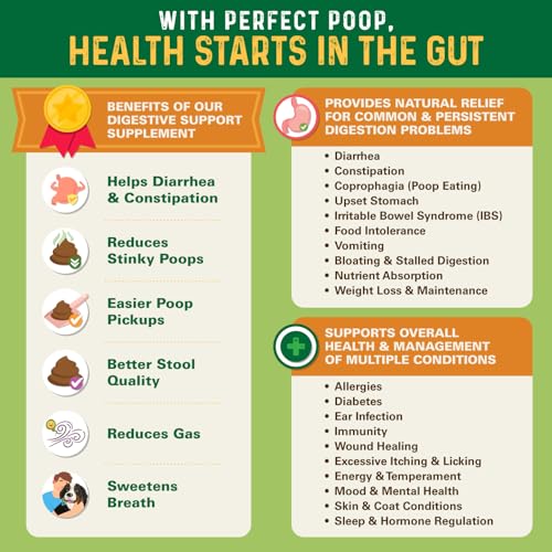 Perfect Poop Digestion & General Health Supplement for Dogs: Fiber, Prebiotics, Probiotics & Enzymes Relieve Digestive Conditions, Optimize Stool, and Improve Health (Cheddar Cheese, 4.2 oz)