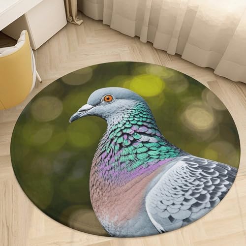 Tapis rond doux absorbant antidérapant motif pigeon gris salon