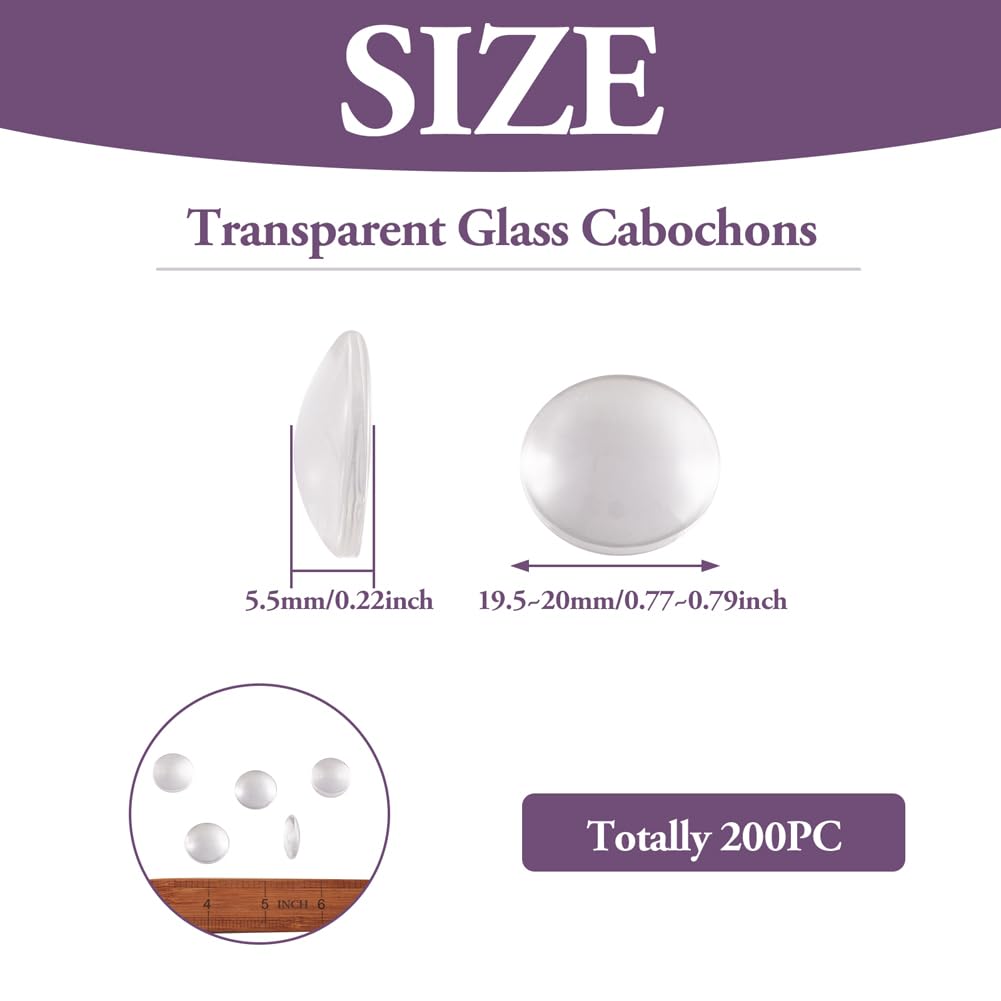 Composizione Di Vita In Bianco E Nero Minimalista Con Teschio In Cupola Vetro Colori Beige Color Copia Spazio Astratto 254220443 - Foto 11