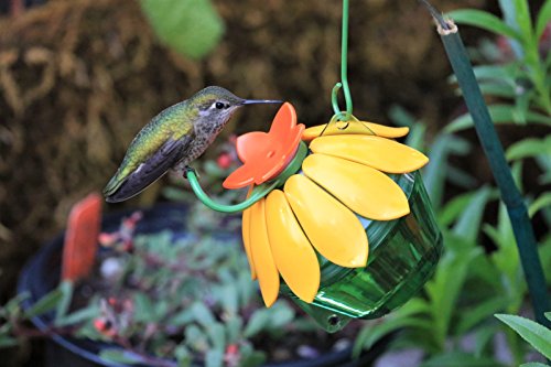 Wild Wings Wwsfhf5 So Real Single Flower Hummingbird Feeder, Red/Yellow (2-Pack) #TOP6