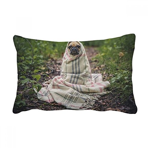 Coussin bouledogue 16x24 pouces pour déco de canapé - 2