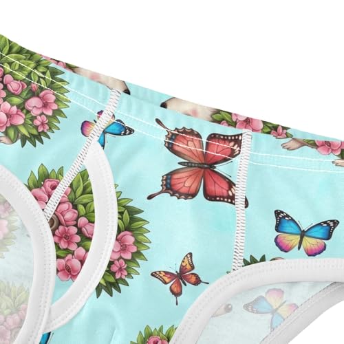 CHIFIGNO Underwear for Boys Cute Hedgehog Butterfly Blue Cotton Boys' Briefs Soft Breathable Briefs Underwear4