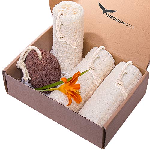 All Natural Loofah Set of 3 Length 5,8” With Lava Pumice Stone