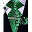 Green Paisley Set