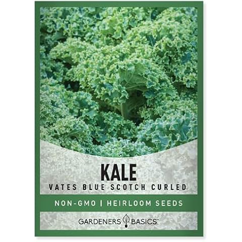 Gardeners Basics Kale Seeds Vates Blue Scotch Curled Cover