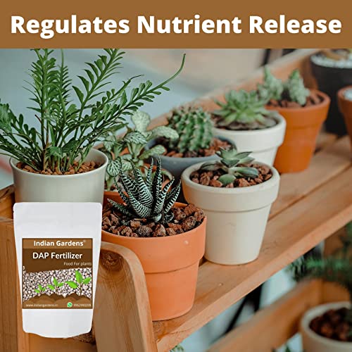 Image of Indian Gardens Dap Fertilizer for Plants | Plant Nutrient and Plant Food | All Plants | Gardening - 0.5 Kg