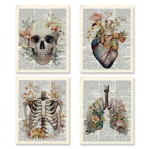 Décoration murale anatomique vintage KSDUT | Lot de 4 affiches botaniques 20x25 cm