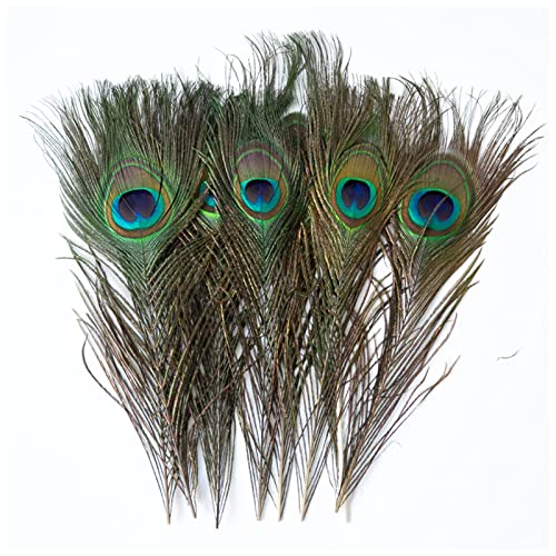 FENGHUNAYUE - Pluma artesanal para decoración de plumas naturales, artesanías marrones Faisán...