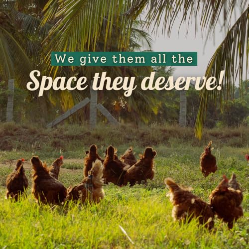Image of Farm made foods Free Range Eggs,12 Pieces| Veg Fed| Non-Fertile Eggs