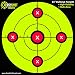 EasyShot Targets “100-Pack” Sight-in Shooting Targets - Large 13 X 13” Maximum Visibility Bullseye Sight-in Targets for Shooting - Neon Green, Bright and Colorful - Easy to See Your Shots.