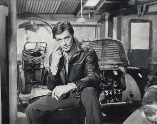 ñfB[ Ah Alain Delon ʐ^, 20.3x25.4cm, t[Ȃ, fʐ^|X^[