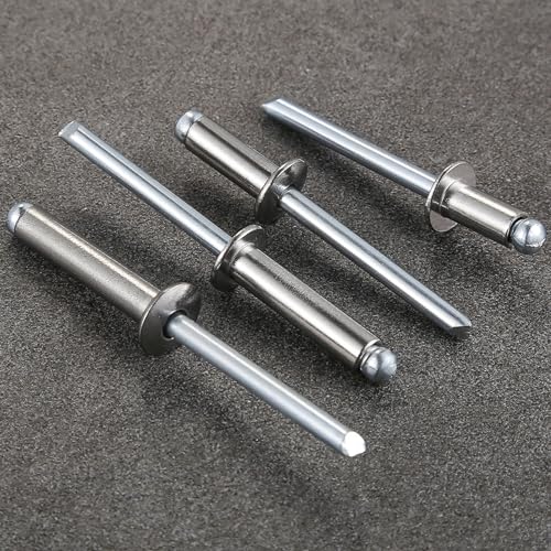 Image of Wensilon (100Pcs)1 /4 inchx5 /8 inch stainless steel blind pro Rivets,Steel handle and stainless steel mandrel