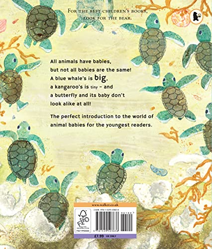 Image of Find Out About ... Animal Babies