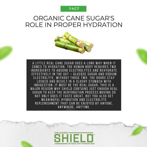 Shield Business Pack Assorted 4 Flavor Powder Packets Variety, Case Of 400, Low Calorie, All Natural Healthy Electrolyte Drink Mix, 6 Bonus Sports Bottles, Great Taste, Diabetic Friendly, Gluten Free, Caffeine Free , No Aftertaste #TOP4