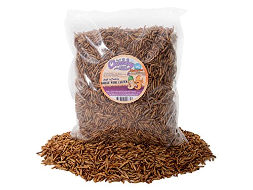Chubby Mealworms Dried Mealworms and Calci Worm Mix, 1Kg