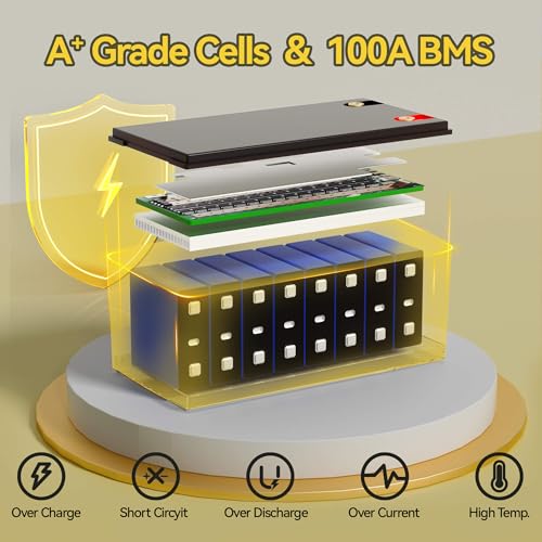24V Lithium Battery 100AH Lifepo4 Battery Built-in 100A BMS,Specialized for 24V Trolling Motors,UP to 8000 Deep Cycle,Perfect for Boat,Solar System Storage