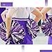 Canlierr 4 Pcs Cheerleading Pom Poms with Baton Handle and Cheerleader Hair Bows, 14 Inch Metallic Cheer Supplies for School Team Spirit Sports Dance Cheering(Purple and Silver)