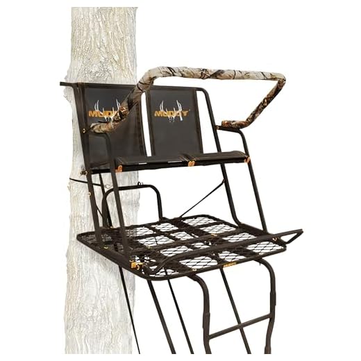 Muddy Partner 2-Man Ladderstand, Black, One Size