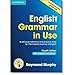 English Grammar in Use Book with Answers and Interactive eBook: Self-Study Reference and Practice Book for Intermediate Learners of English