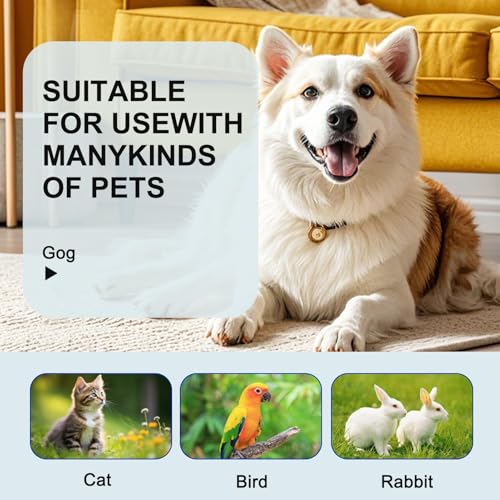 20 Stück stuhlprobenröhrchen,kotprobenröhrchen,probenröhrchen,kotprobenröhrchen hund,stuhlfänger für stuhlprobe,Kotprobenröhrchen Hund und Katze,Stuhlröhrchen mit Löffel,für Haustiere zum Testen15ml