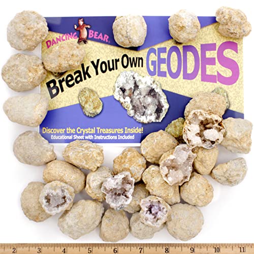 Dancing Bear 25 Break Your Own Geodes, (Medium 1-1.5") 90% Hollow, Crack Open & Discover Amazing Surprise Crystals Inside! Educational Info And Instructions Included, Fun Party Favors & Prizes #TOP1