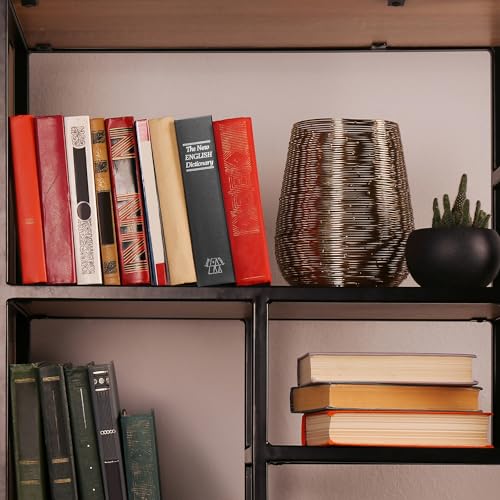 Barska AX11680 Hidden Dictionary Book Safe thumb #3