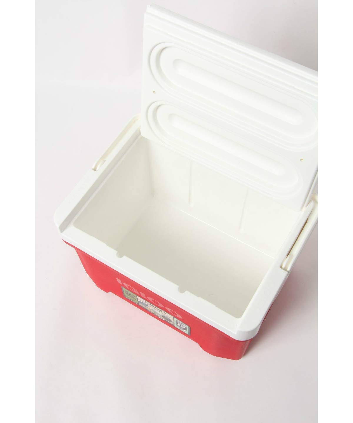 Amazon | igloo(イグルー) ラグーナ 9 (8L) レッド #32479 | Igloo