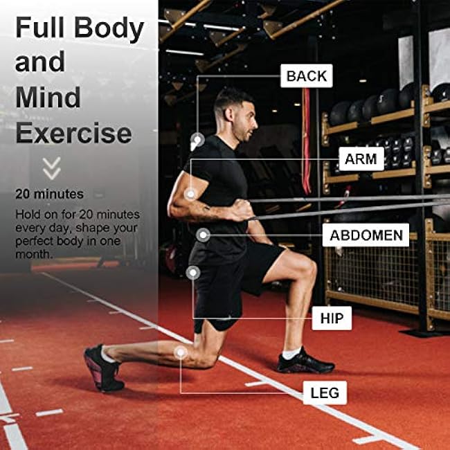 Long Resistance Bands, WeluvFit Workout Bands Resistance for Women and Men, Fitness Loop Booty Stretch Exercise Bands for Full Body Workout & Weight Training, Pull Up Assistance Bands for Home Gym