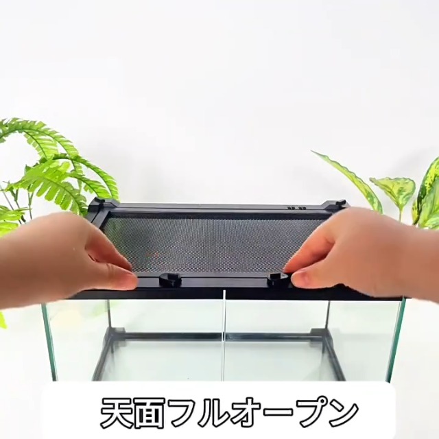 Amazon | AIYOI 爬虫類 ケージ 飼育ケース レオパ ケージ グラス